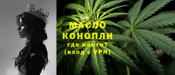 прущие грибы Елизово